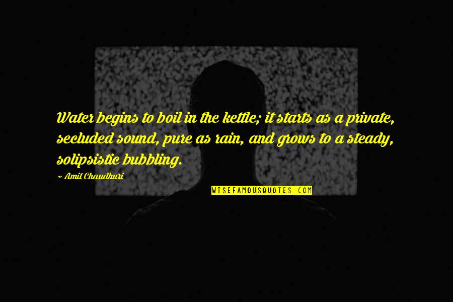 To Boil Quotes By Amit Chaudhuri: Water begins to boil in the kettle; it To Boil Quotes By Amit Chaudhuri: Water begins to boil in the kettle; it