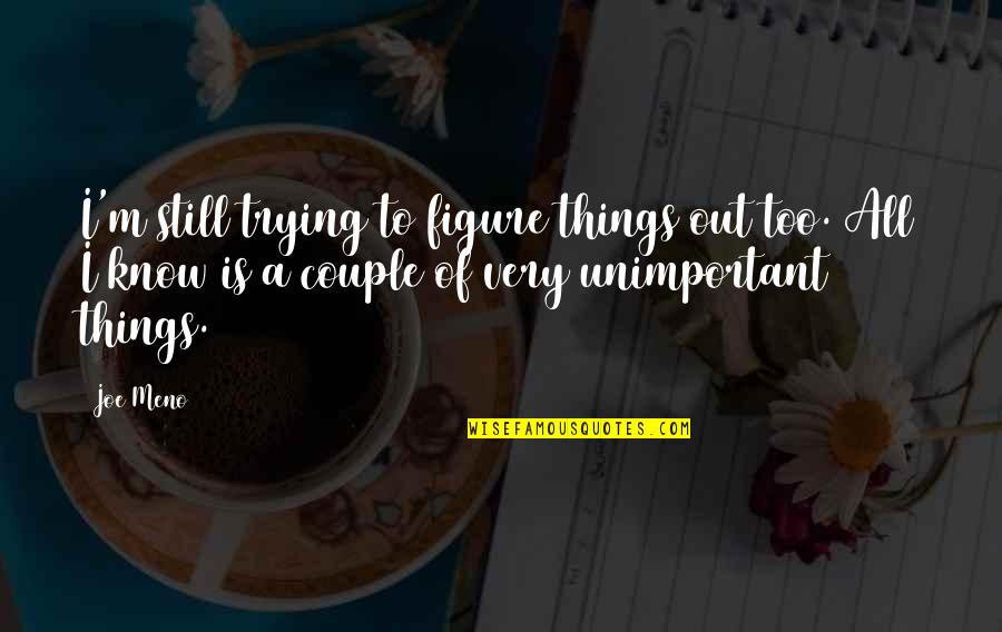 To Couple Quotes By Joe Meno: I'm still trying to figure things out too. To Couple Quotes By Joe Meno: I'm still trying to figure things out too.