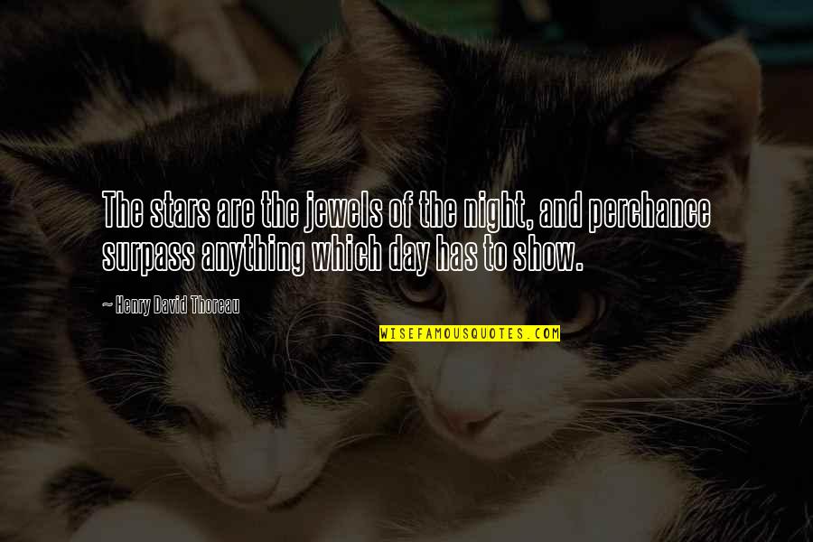 To Day Quotes By Henry David Thoreau: The stars are the jewels of the night,