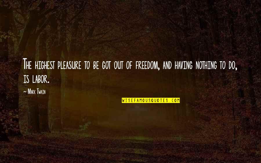 To Day Quotes By Mark Twain: The highest pleasure to be got out of