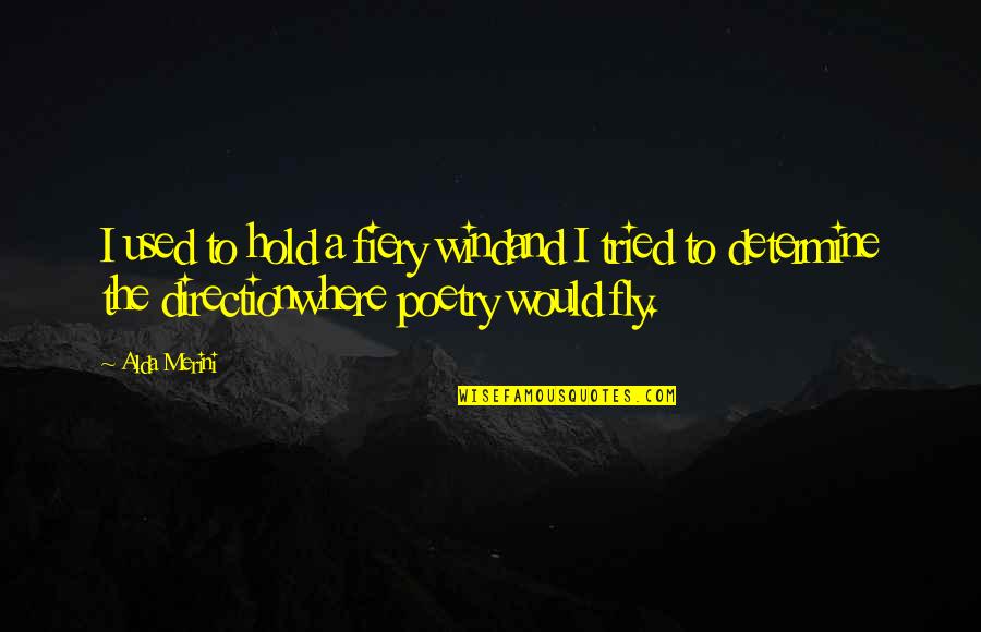 To Fly Quotes By Alda Merini: I used to hold a fiery windand I