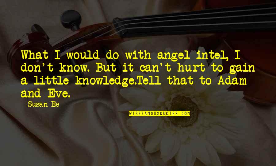 To Gain Knowledge Quotes By Susan Ee: What I would do with angel intel, I