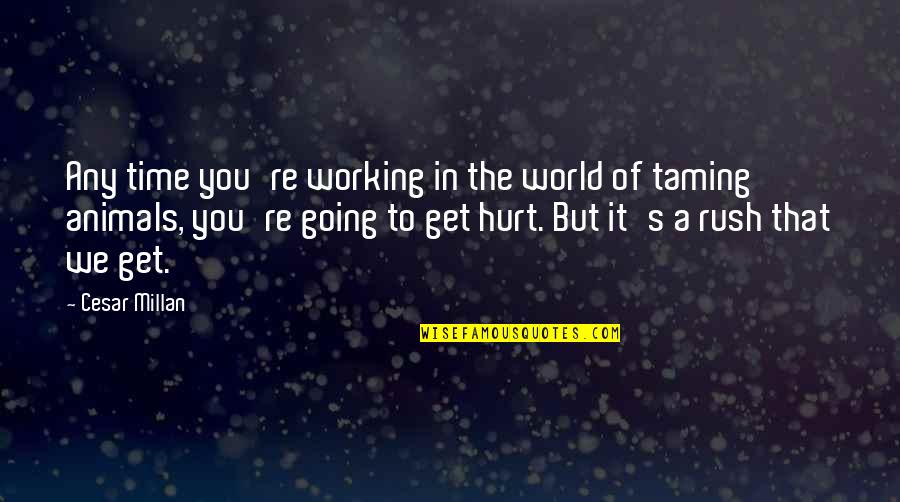 To Get Hurt Quotes By Cesar Millan: Any time you're working in the world of