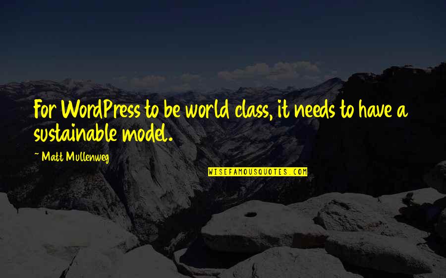 To Have Class Quotes By Matt Mullenweg: For WordPress to be world class, it needs