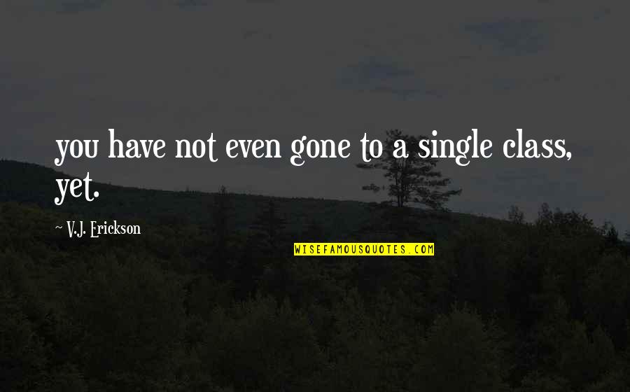 To Have Class Quotes By V.J. Erickson: you have not even gone to a single