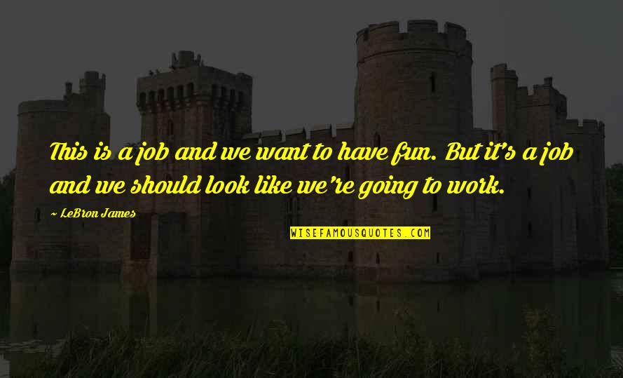 To Have Fun Quotes By LeBron James: This is a job and we want to