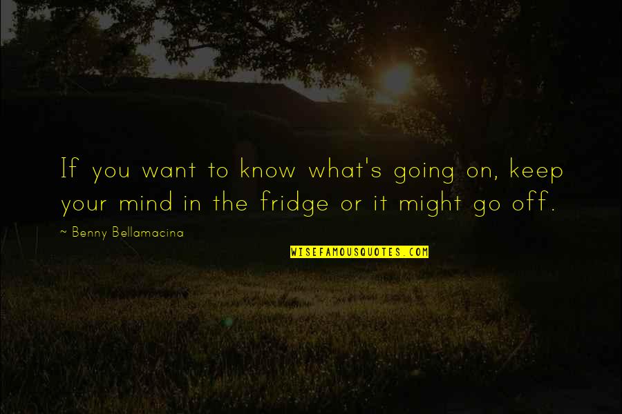 To Keep Going Quotes By Benny Bellamacina: If you want to know what's going on,