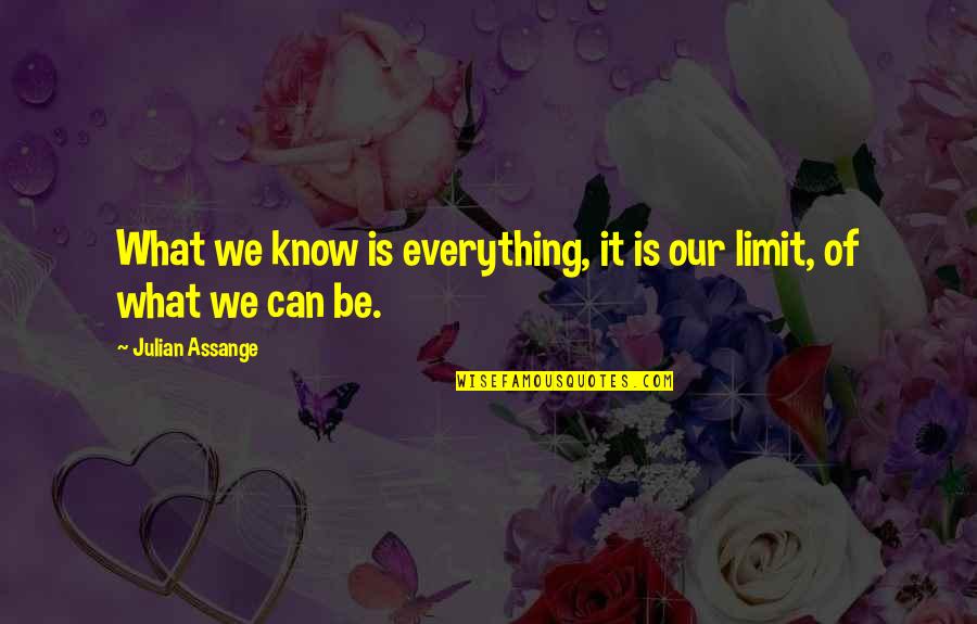 To Know Your Limit Quotes By Julian Assange: What we know is everything, it is our