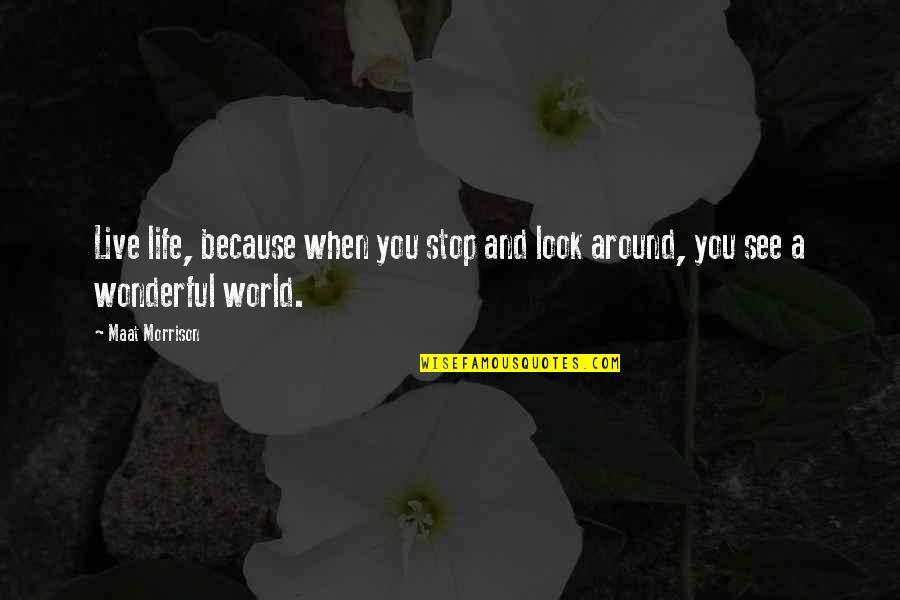 To Live A Wonderful Life Quotes By Maat Morrison: Live life, because when you stop and look