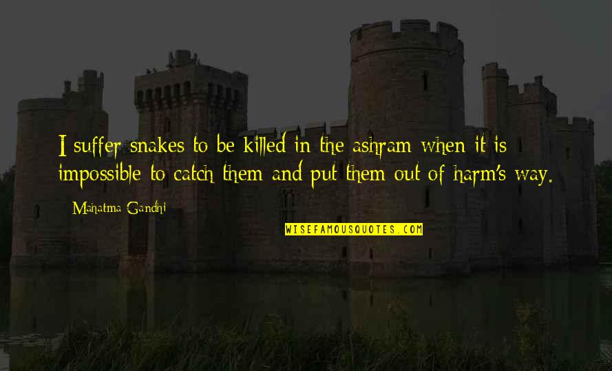 To Many Snakes Quotes By Mahatma Gandhi: I suffer snakes to be killed in the To Many Snakes Quotes By Mahatma Gandhi: I suffer snakes to be killed in the