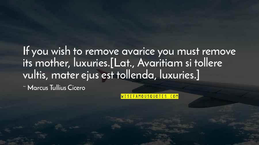 To Mater Quotes By Marcus Tullius Cicero: If you wish to remove avarice you must