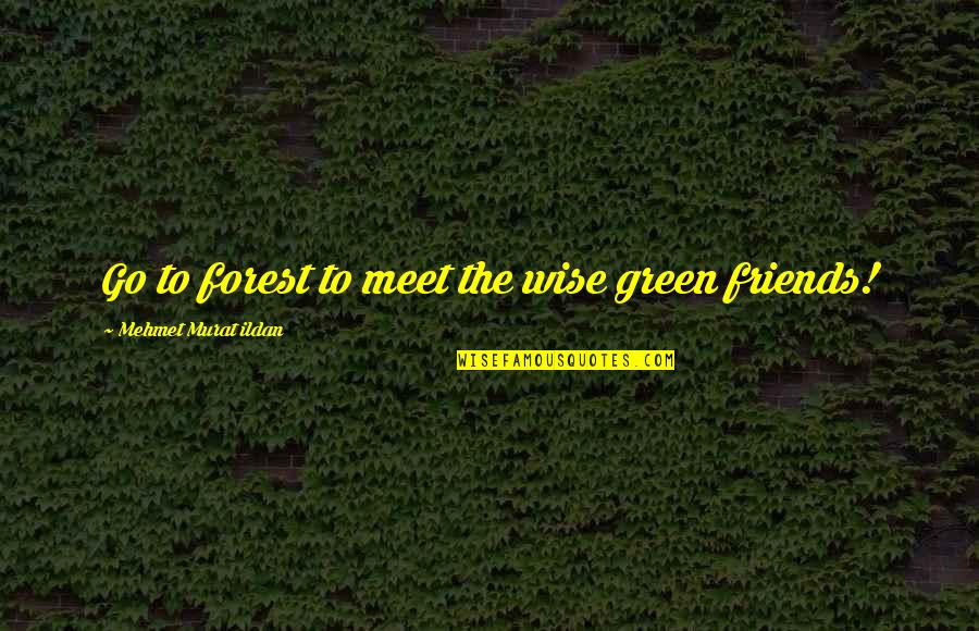 To Meet Friends Quotes By Mehmet Murat Ildan: Go to forest to meet the wise green