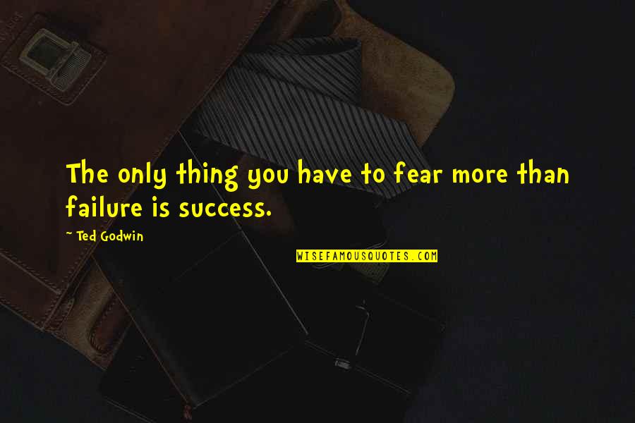 To More Success Quotes By Ted Godwin: The only thing you have to fear more