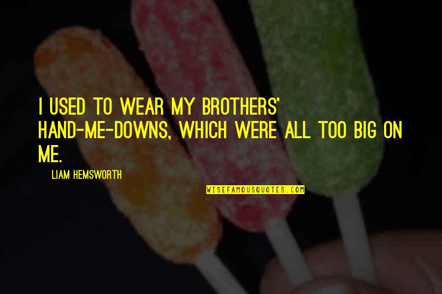 To My Brothers Quotes By Liam Hemsworth: I used to wear my brothers' hand-me-downs, which