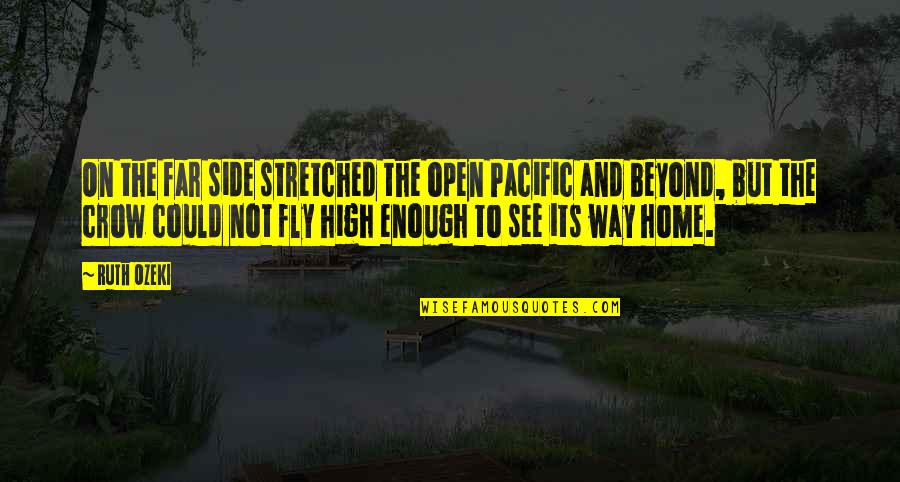 To See Beyond Quotes By Ruth Ozeki: On the far side stretched the open Pacific