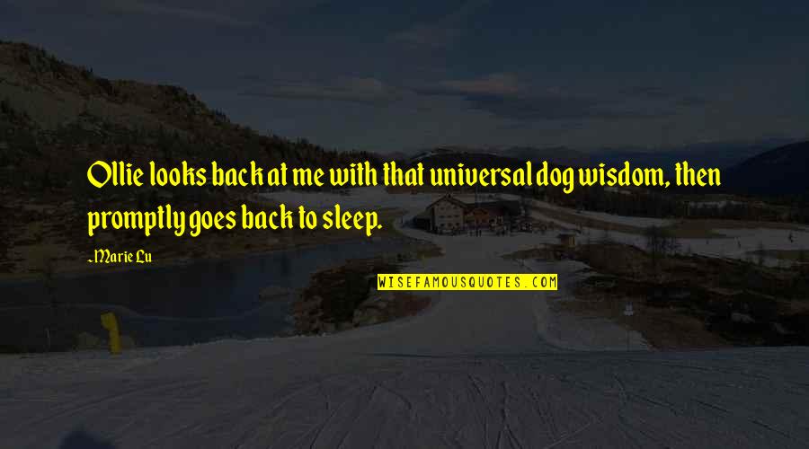 To Sleep Quotes By Marie Lu: Ollie looks back at me with that universal