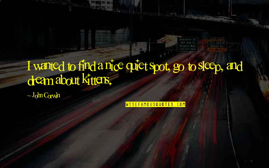 To Sleep To Dream Quotes By John Corwin: I wanted to find a nice quiet spot,