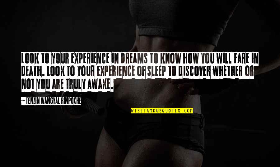 To Sleep To Dream Quotes By Tenzin Wangyal Rinpoche: Look to your experience in dreams to know To Sleep To Dream Quotes By Tenzin Wangyal Rinpoche: Look to your experience in dreams to know