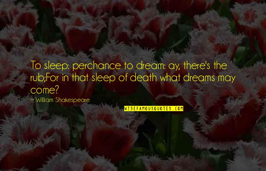 To Sleep To Dream Quotes By William Shakespeare: To sleep: perchance to dream: ay, there's the To Sleep To Dream Quotes By William Shakespeare: To sleep: perchance to dream: ay, there's the