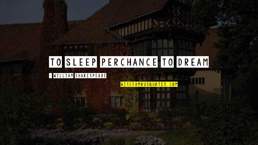 To Sleep To Dream Quotes By William Shakespeare: To sleep perchance to dream To Sleep To Dream Quotes By William Shakespeare: To sleep perchance to dream