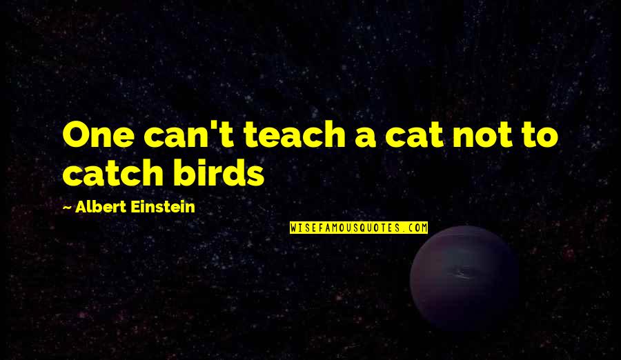 To Teach Quotes By Albert Einstein: One can't teach a cat not to catch