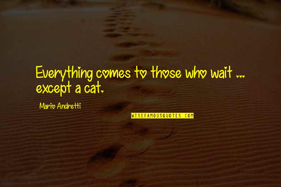 To Those Who Wait Quotes By Mario Andretti: Everything comes to those who wait ... except