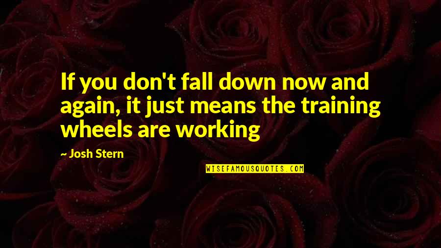 To Training Wheels Quotes By Josh Stern: If you don't fall down now and again,
