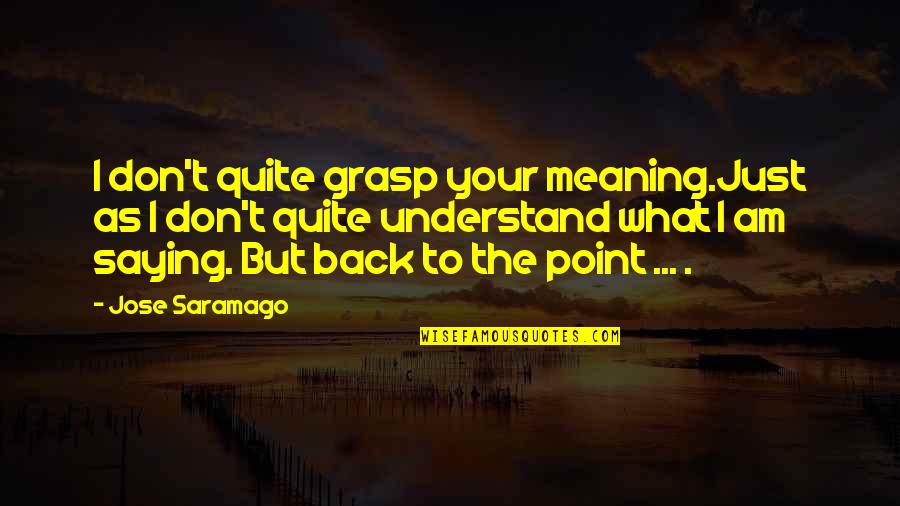To Understand Its Meaning Quotes By Jose Saramago: I don't quite grasp your meaning.Just as I