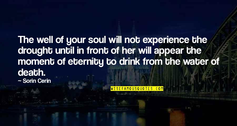 To Your Eternity Quotes By Sorin Cerin: The well of your soul will not experience