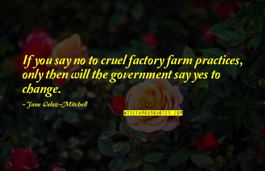 Toadyish Response Quotes By Jane Velez-Mitchell: If you say no to cruel factory farm