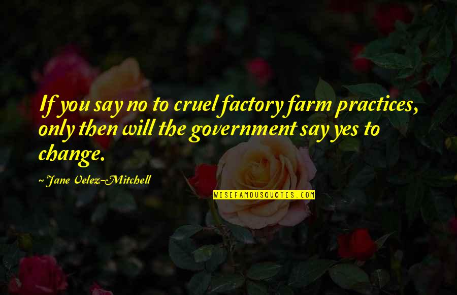 Toadyish Response Quotes By Jane Velez-Mitchell: If you say no to cruel factory farm Toadyish Response Quotes By Jane Velez-Mitchell: If you say no to cruel factory farm