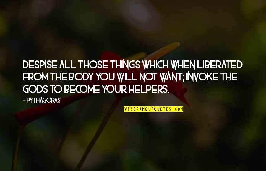 Toark Quotes By Pythagoras: Despise all those things which when liberated from