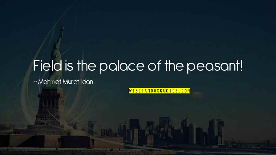 Toboulie Quotes By Mehmet Murat Ildan: Field is the palace of the peasant!
