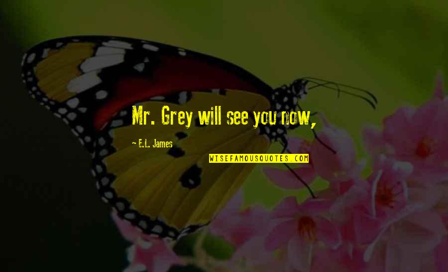 Tocci Brothers Quotes By E.L. James: Mr. Grey will see you now, Tocci Brothers Quotes By E.L. James: Mr. Grey will see you now,
