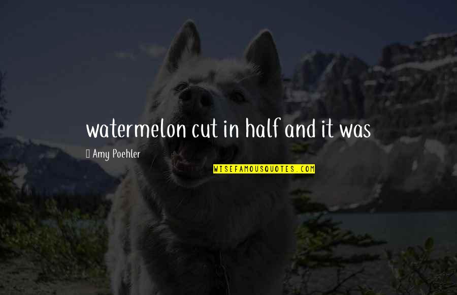 Tocular Quotes By Amy Poehler: watermelon cut in half and it was Tocular Quotes By Amy Poehler: watermelon cut in half and it was