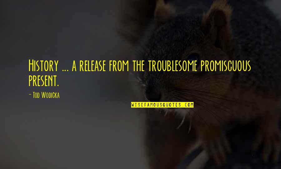 Tod Quotes By Tod Wodicka: History ... a release from the troublesome promiscuous