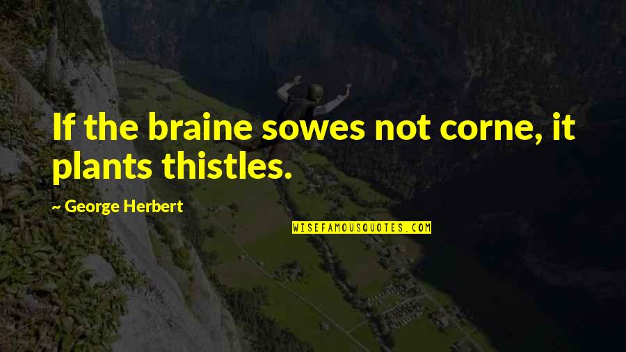 Today 2016 Quotes By George Herbert: If the braine sowes not corne, it plants