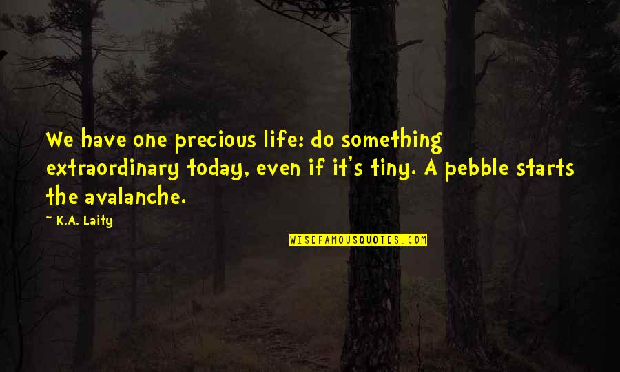Today Do Something For You Quotes By K.A. Laity: We have one precious life: do something extraordinary