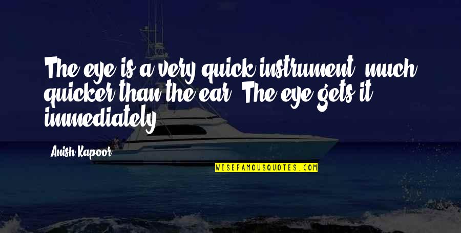 Today I Met Her Quotes By Anish Kapoor: The eye is a very quick instrument, much