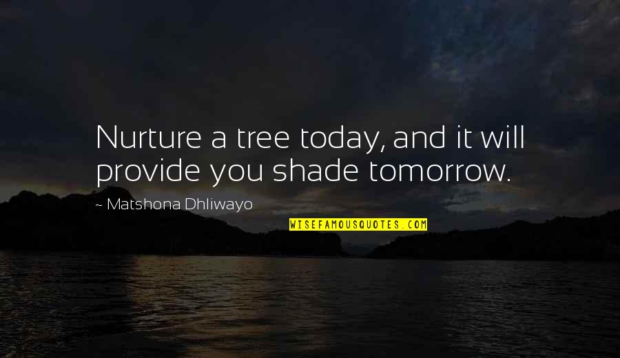 Today Quotes And Quotes By Matshona Dhliwayo: Nurture a tree today, and it will provide