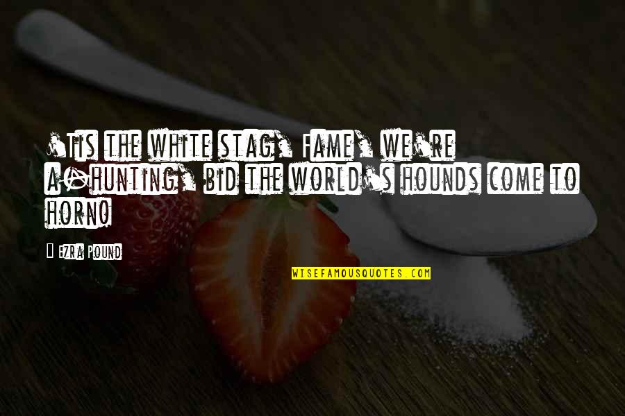Today Will Be Amazing Quotes By Ezra Pound: 'Tis the white stag, Fame, we're a-hunting, bid