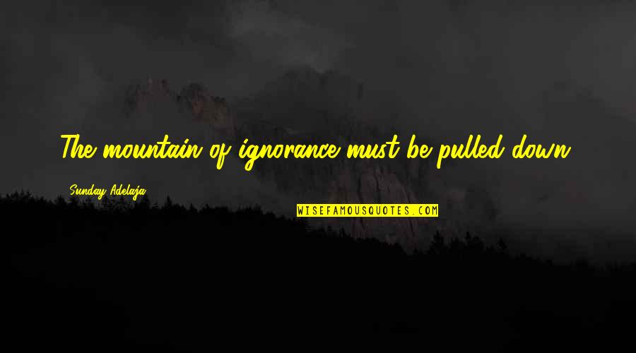 Today Will Be Fabulous Quotes By Sunday Adelaja: The mountain of ignorance must be pulled down.