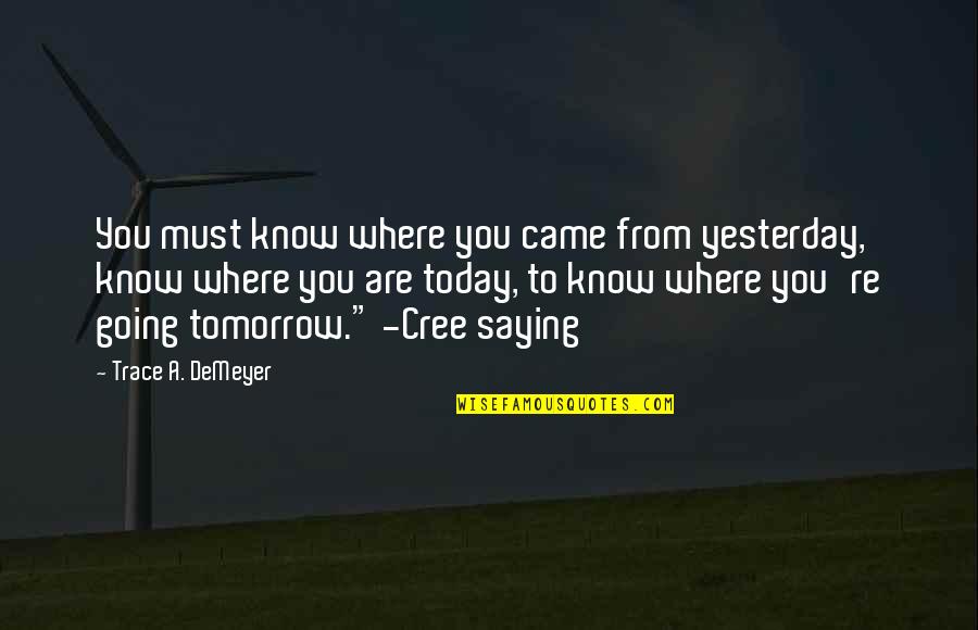 Today You Are You Quotes By Trace A. DeMeyer: You must know where you came from yesterday,