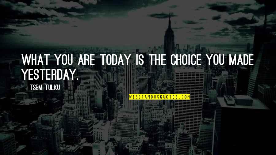 Today You Are You Quotes By Tsem Tulku: What you are today is the choice you