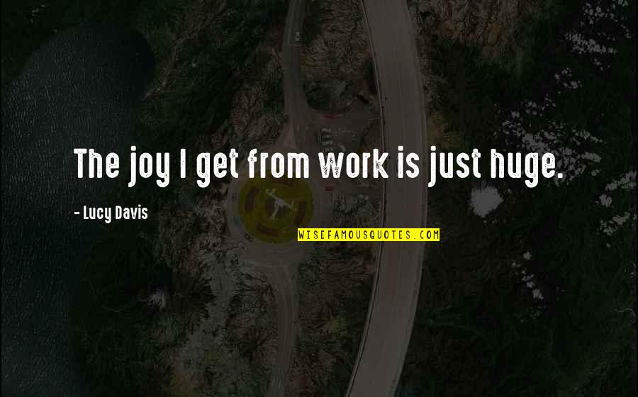Todd Durkin Quotes By Lucy Davis: The joy I get from work is just Todd Durkin Quotes By Lucy Davis: The joy I get from work is just