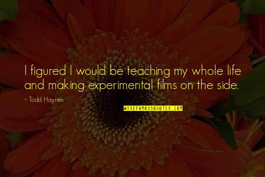 Todd Haynes Quotes By Todd Haynes: I figured I would be teaching my whole