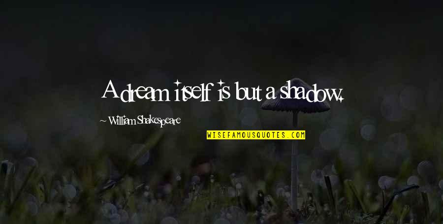 Todd Haynes Quotes By William Shakespeare: A dream itself is but a shadow.