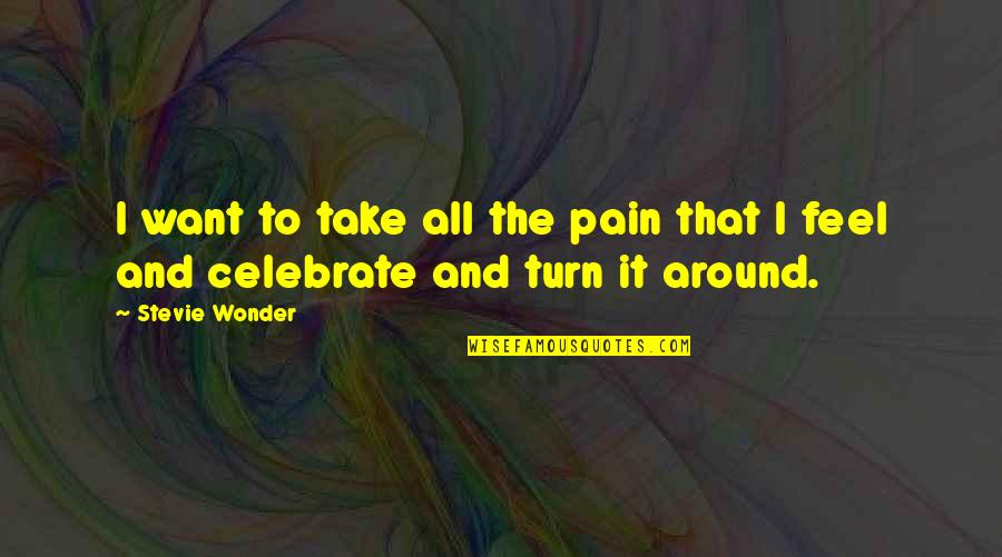 Todd Hunter Quotes By Stevie Wonder: I want to take all the pain that