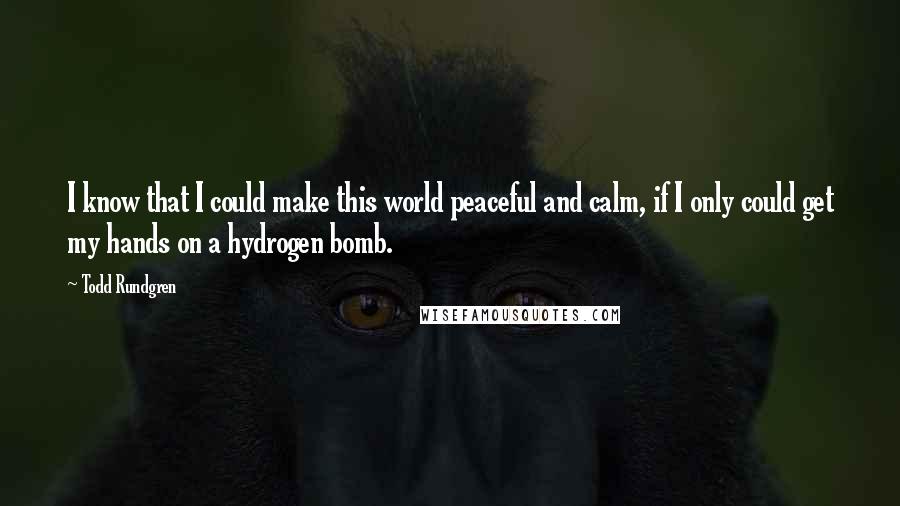 Todd Rundgren quotes: I know that I could make this world peaceful and calm, if I only could get my hands on a hydrogen bomb.