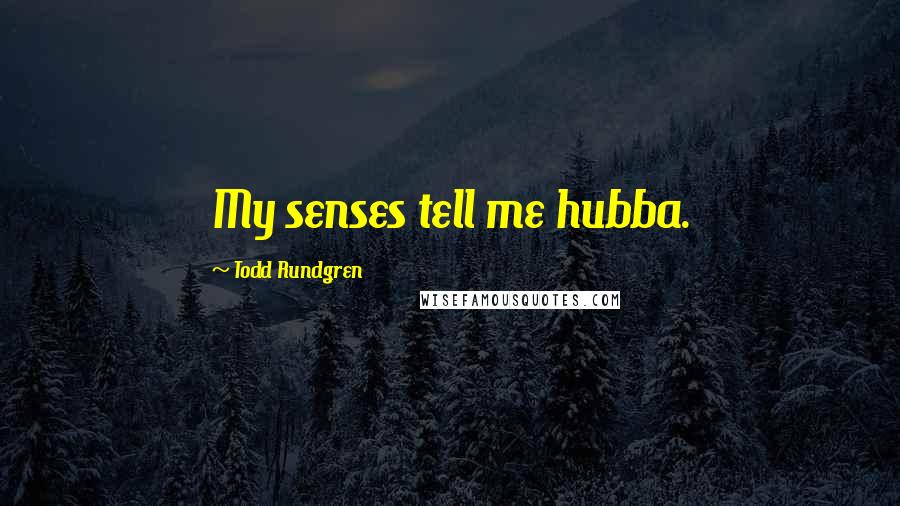 Todd Rundgren quotes: My senses tell me hubba.